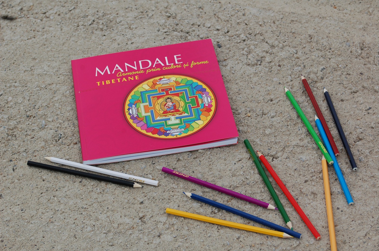 step4_bring your mandala