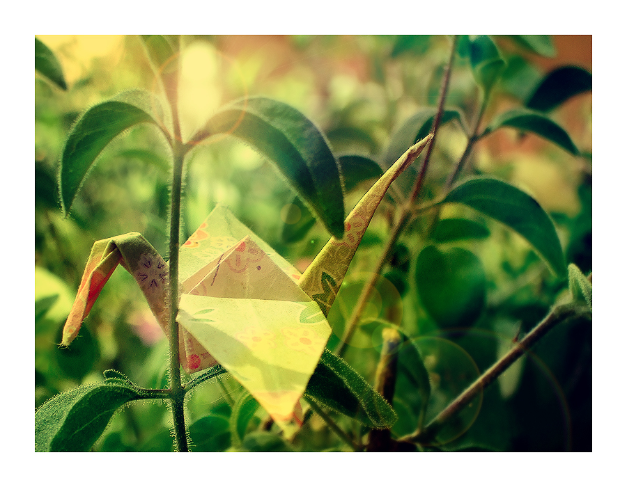 Awareness_by_firheruwen